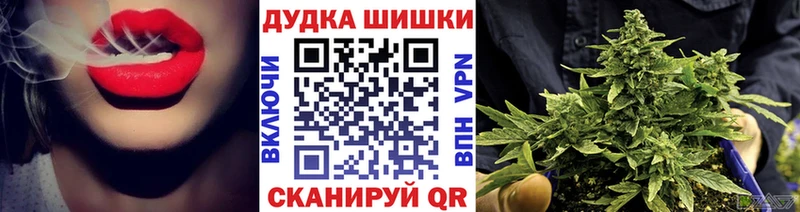 Купить наркотики сайты Шацк Псилоцибиновые грибы  Cocaine  Меф  Марихуана  ГАШ  Альфа ПВП 