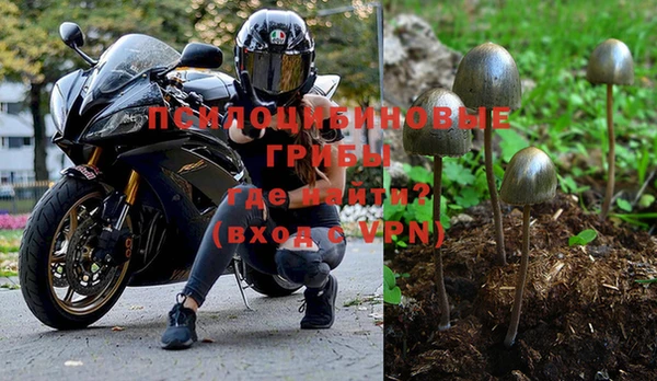 СК Алексеевка