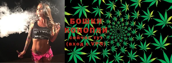 дурь Алзамай